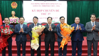 Son La: Vervollständigung der Positionen des Vorsitzenden und stellvertretenden Vorsitzenden des Provinzvolksrats