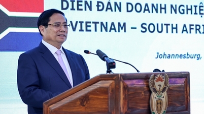Perdana Menteri mengajak para pelaku bisnis Vietnam dan Afrika Selatan untuk 'bertemu - terhubung - bertindak - berproduksi'