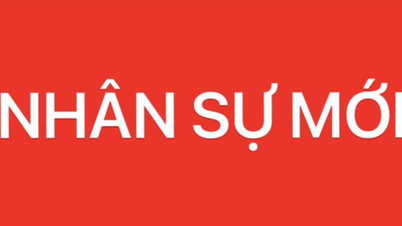 Seçim sonuçlarının onaylanması ve Ho Chi Minh Şehri Halk Komitesi Başkan Yardımcılığı görevinin sona erdirilmesi