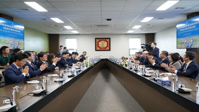 فيتنام وكوريا تعززان التعاون نحو الصناعات المستقبلية