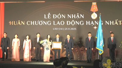 ホア・ビン・ミン・グループ：一級労働勲章受章とル・ブラン・ヘリテージ・ホテル開業