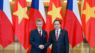 Promover a amizade tradicional e a cooperação multifacetada entre o Vietname e a República Checa.