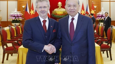 A főtitkár fogadja a Cseh Köztársaság Szenátusának elnökét