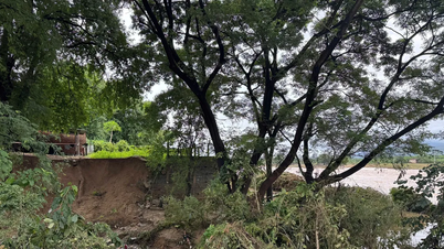 카이판랑 강둑 5km 침식, 주민 주택 위협