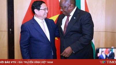 ຖະແຫຼງການຮ່ວມກ່ຽວກັບການສ້າງຕັ້ງການພົວພັນຄູ່ຮ່ວມມືຍຸດທະສາດ ຫວຽດນາມ - ອາຟຣິກາໃຕ້