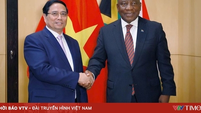 ຫວຽດ​ນາມ - ອາ​ຟ​ຣິ​ກາ​ໃຕ້ ຍົກ​ລະ​ດັບ​ການ​ພົວ​ພັນ​ເປັນ​ຄູ່​ຮ່ວມ​ມື​ຍຸດ​ທະ​ສາດ