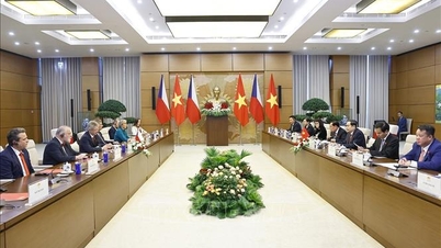 Ketua Majelis Nasional mengadakan pembicaraan dengan Ketua Senat Republik Ceko