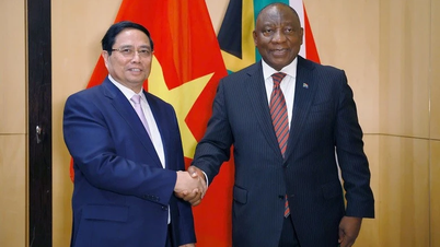 Vietnam a Jihoafrická republika oficiálně povýšily své vztahy na strategické partnerství.