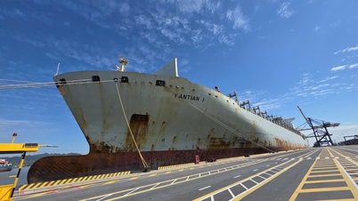 Přístav HTIT dosáhl nového milníku v provozu přístavu