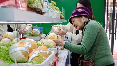 From milk grapes, Korean pears to Canon cameras, Honda motorbikes, there are fake goods.