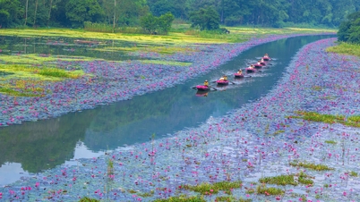 Ninh Binh organiza el programa "Sac Hong Tam Coc 2025 - canción de amor de otoño"