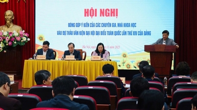 Οι ειδικοί υποβάλλουν σχόλια για την τελειοποίηση των σχεδίων εγγράφων που θα υποβληθούν στο 14ο Εθνικό Συνέδριο του Κόμματος