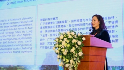 Quang Ninh, "Seyahat Günü 2025"te turizm potansiyelini tanıttı