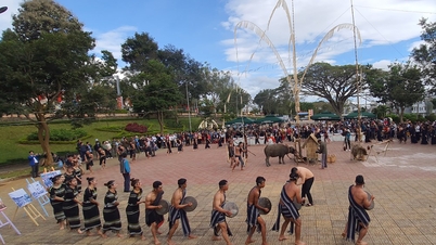 Lam Dong: Postponing the organization of the Gong Club Festival