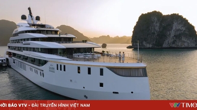 Usulan untuk mewajibkan kapal pesiar memiliki manajer keselamatan