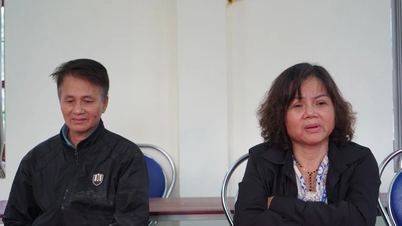 थाई न्गुयेन में बाल दुर्व्यवहार के 3 मामलों में अभियोजन और अस्थायी हिरासत