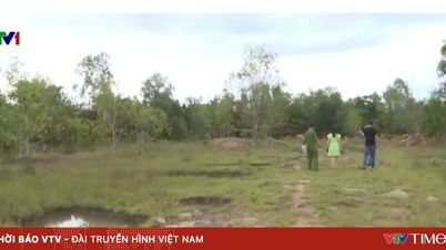 Pembelian dan penjualan tanah yang curang di Zona Ekonomi Khusus Phu Quoc