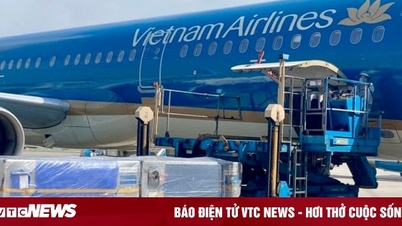 ក្រុមហ៊ុនអាកាសចរណ៍វៀតណាម បន្តដឹកជញ្ជូនទំនិញដោយមិនគិតថ្លៃ ដើម្បីជួយដល់ប្រជាជននៅតំបន់រងគ្រោះដោយទឹកជំនន់