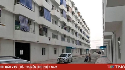 Wer hat Vorrang beim Kauf von Sozialwohnungen ohne Losverfahren?