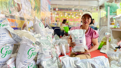 जिया लाई ने अपने उपभोग बाजार का विस्तार करने के लिए एक अद्वितीय चावल ब्रांड का निर्माण किया।