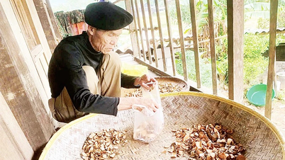 Zachování tradičních řemesel v Dong Phuc