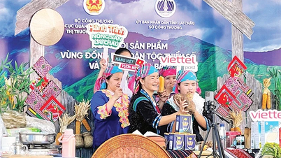 고지대 농산물 운송 경로 단축