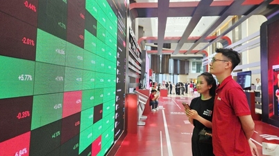 Les actions vont être négociées aujourd'hui ; que doivent faire les investisseurs pour éviter les pertes ?