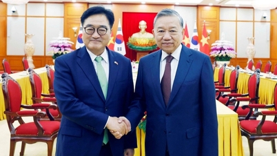 ລົງ​ເລິກ​ການ​ພົວພັນ​ຄູ່​ຮ່ວມ​ມື​ຍຸດ​ທະ​ສາດ​ຮອບດ້ານ​ຫວຽດນາມ - ສ.​ເກົາຫຼີ