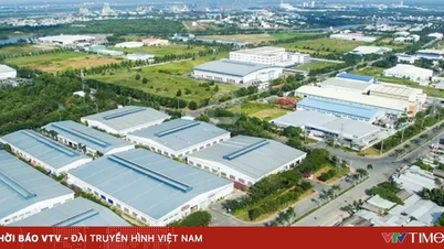 ホーチミン市が工業団地への投資を誘致するための多くの緊急勧告