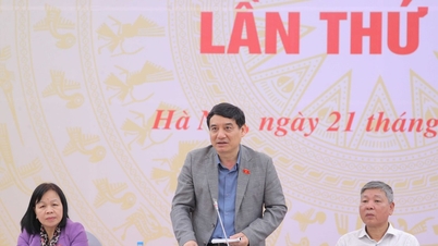 文化社会問題委員会は第5回全体会議を開催した。