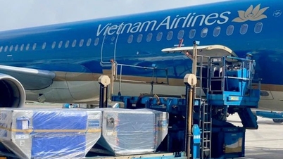 Vietnam Airlines přepravuje zdarma zboží na podporu obětí povodní
