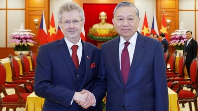 הבאת השותפות האסטרטגית בין וייטנאם לרפובליקה הצ'כית לשיא חדש