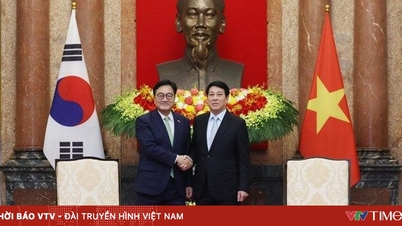 वियतनाम-कोरिया संबंधों को बढ़ावा देने के लिए एक अनुकूल कानूनी गलियारा बनाना