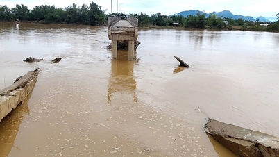 Da Nang declares natural disaster emergency on Duy Phuoc bridge approach road