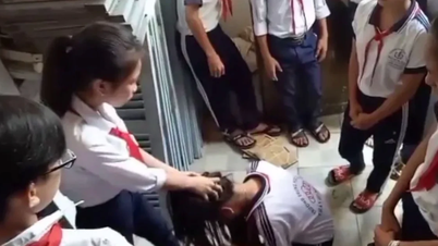 អំពើហឹង្សាក្នុងសាលា៖ តម្រូវការសម្រាប់ការដាក់ទណ្ឌកម្ម៖ ការអប់រំពិសេស សេវាសហគមន៍ ការបញ្ជូនទៅកាន់កំណែទម្រង់