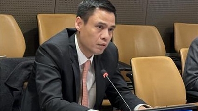 វៀតណាមបញ្ជាក់ការគាំទ្ររបស់ខ្លួនចំពោះប្រព័ន្ធពាណិជ្ជកម្មសេរី និងយុត្តិធម៌។