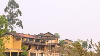 Lo Lo Chai: 'Dünyanın en iyi turistik köyünü' keşfetme deneyimi