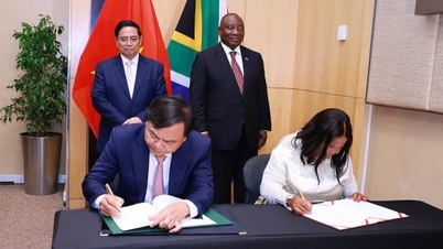 Vietnam y Sudáfrica firmaron un Memorando de Entendimiento sobre cooperación agrícola.