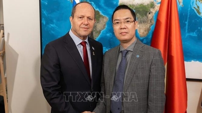 មួយឆ្នាំនៃ VIFTA: "បើកចំហ" ជាច្រើនសម្រាប់ទំនិញវៀតណាមចូលអ៊ីស្រាអែល