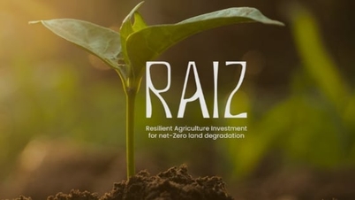 COP30 عالمی سطح پر زمین کے انحطاط سے نمٹنے کے حل پر تبادلہ خیال کرتا ہے۔