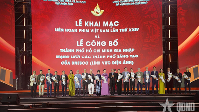 Vietnamese cinema shines on the opening night of the 24th Vietnam Film Festival