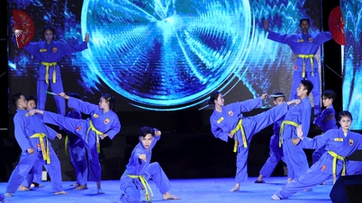 Turiștii străini sunt uimiți de spectacolul atrăgător de arte marțiale din orașul Ho Chi Minh.