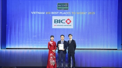 बीआईसी को लगातार 2 वर्षों तक बीमा उद्योग में काम करने के लिए शीर्ष 1 सर्वोत्तम स्थान का दर्जा दिया गया