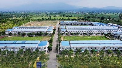 প্রদেশের দক্ষিণ-পূর্বে শিল্প পার্ক চেইন গঠনের দিকে