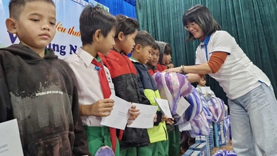 សាបព្រួសជំនឿឡើងវិញនៅតំបន់បាក់ដី