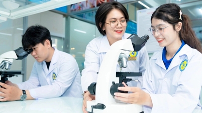 "ডাক্তার পরীক্ষায় উত্তীর্ণ হওয়ার জন্য ১৫ পয়েন্ট" নিয়ে উদ্বেগ: চিকিৎসা শিল্পের মান কীভাবে নিয়ন্ত্রণ করা যায়?