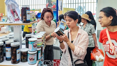 Ca Mau проривається на осінньому ярмарку 2025 року з ароматом «Лісовий аромат – морський смак»