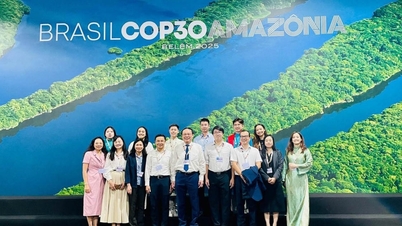 ការរំលេចរបស់វៀតណាមនៅសន្និសីទ COP30៖ ការលើកកម្ពស់អភិបាលកិច្ចអាកាសធាតុសកលឈានចូលដំណាក់កាលថ្មី