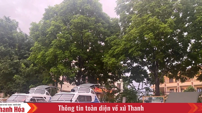 Strengthening the management and use of national reserves to support and respond to rain and floods