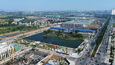 ព័ត៌មានពិសេសរបស់កាសែតហាណូយ ម៉ី ថ្ងៃទី២២ ខែវិច្ឆិកា ឆ្នាំ២០២៥